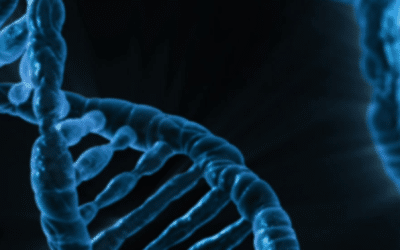 CMC: A Developmental Approach to Ensure Drug Quality – from Small-Molecule Drugs to Biotherapeutics