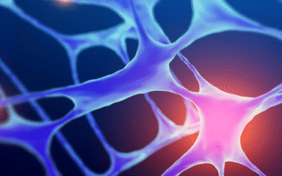 Advanced ELISA-MS™ for Host Cell Protein (HCP) coverage and ELISA Antibody Characterisation