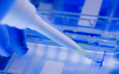 Comprehensive method development for a wide size range of RNA
