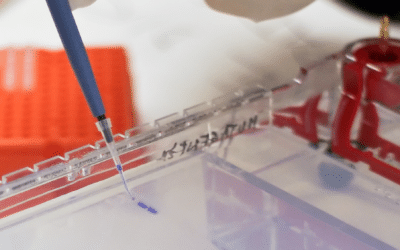 Rapid Platform icIEF Methods Development with AESlyte® HR 5–10.5 for Diverse mAbs