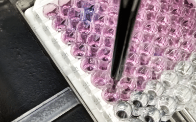 Qualification of Host Cell Protein ELISA and Phase-specific HCP Strategy